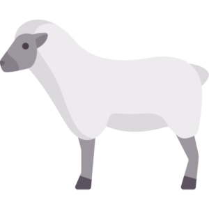 Lamb Kebab